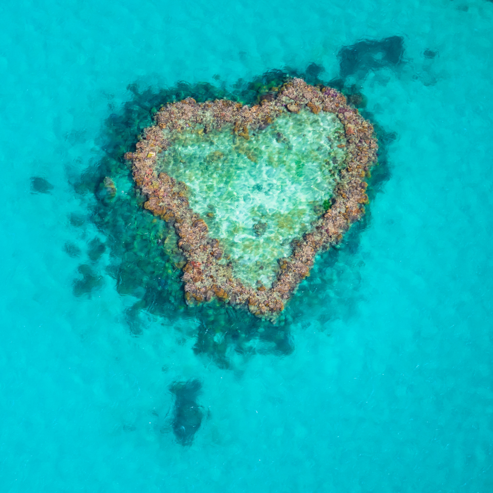 Dive Smarter: Exploring the Diversity of Snorkeling Sites