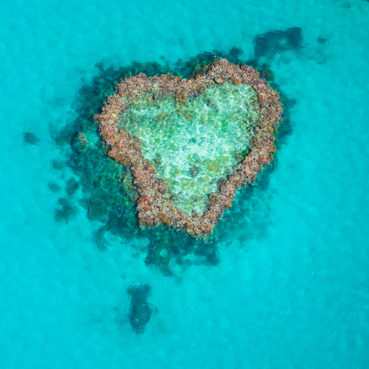 Dive Smarter: Exploring the Diversity of Snorkeling Sites