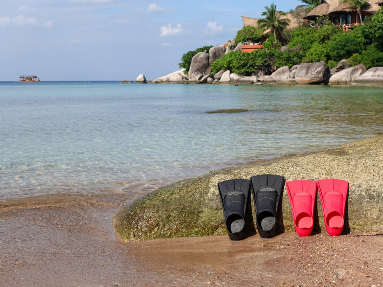 Black and red diving fins on a beach with ocean and rocks in the background