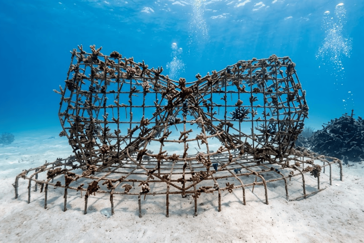 Metallic underwater reef sculpture with branching coral growing on it sitting  on a sandy ocean floor