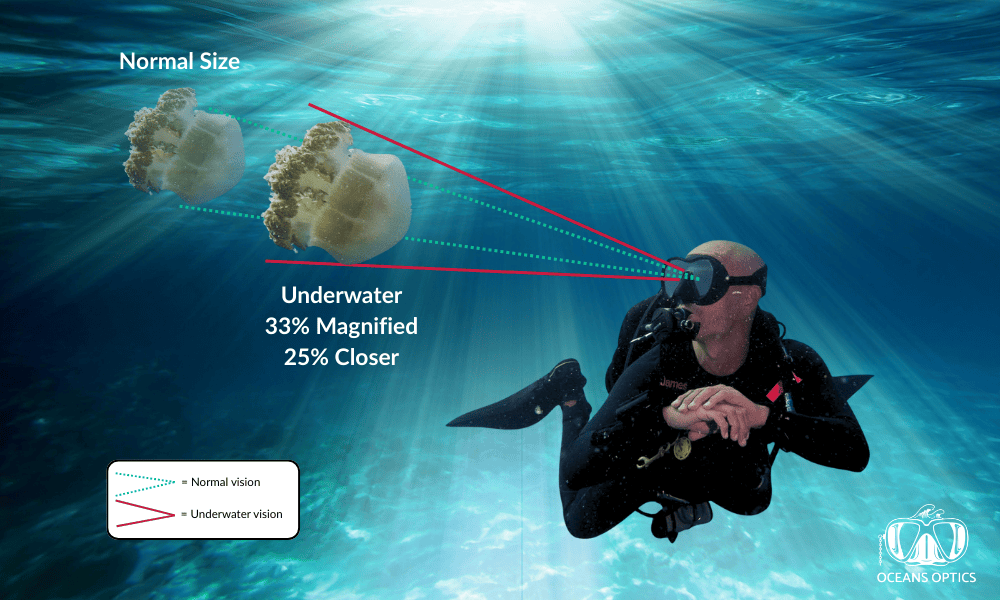 An illustration of a scuba diver and two jellyfish comparing normal vision underwater to vision through a mask, which magnifies objects by 33% and makes them appear 25% closer due to light refraction