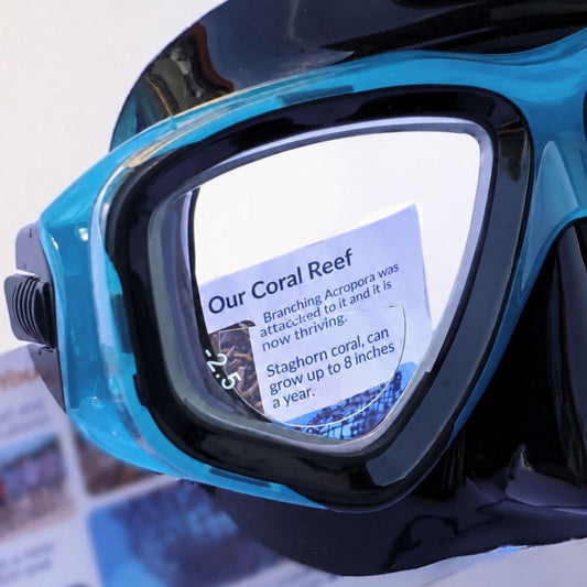 Prescription dive mask +1.00 Stick On Bifocal Reading Lenses for Snorkel & Dive Masks | ADD +1.00 to +6.00 Stick On Bifocal Reading Lenses for Snorkel & Dive Masks | ADD +1.00 to +6.00