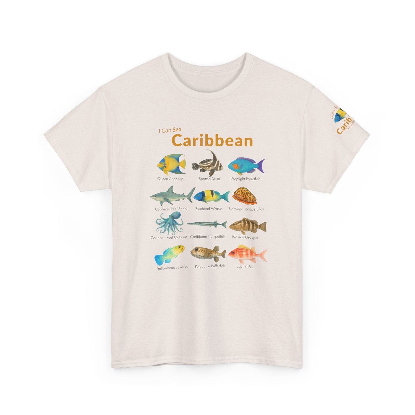 T-Shirt Ice Gray / S Caribbean Reef Fish Field Guide Tee - Watercolor Snorkel & Dive ID Shirt Caribbean Reef Fish Field Guide Tee - Watercolor Snorkel & Dive ID Shirt