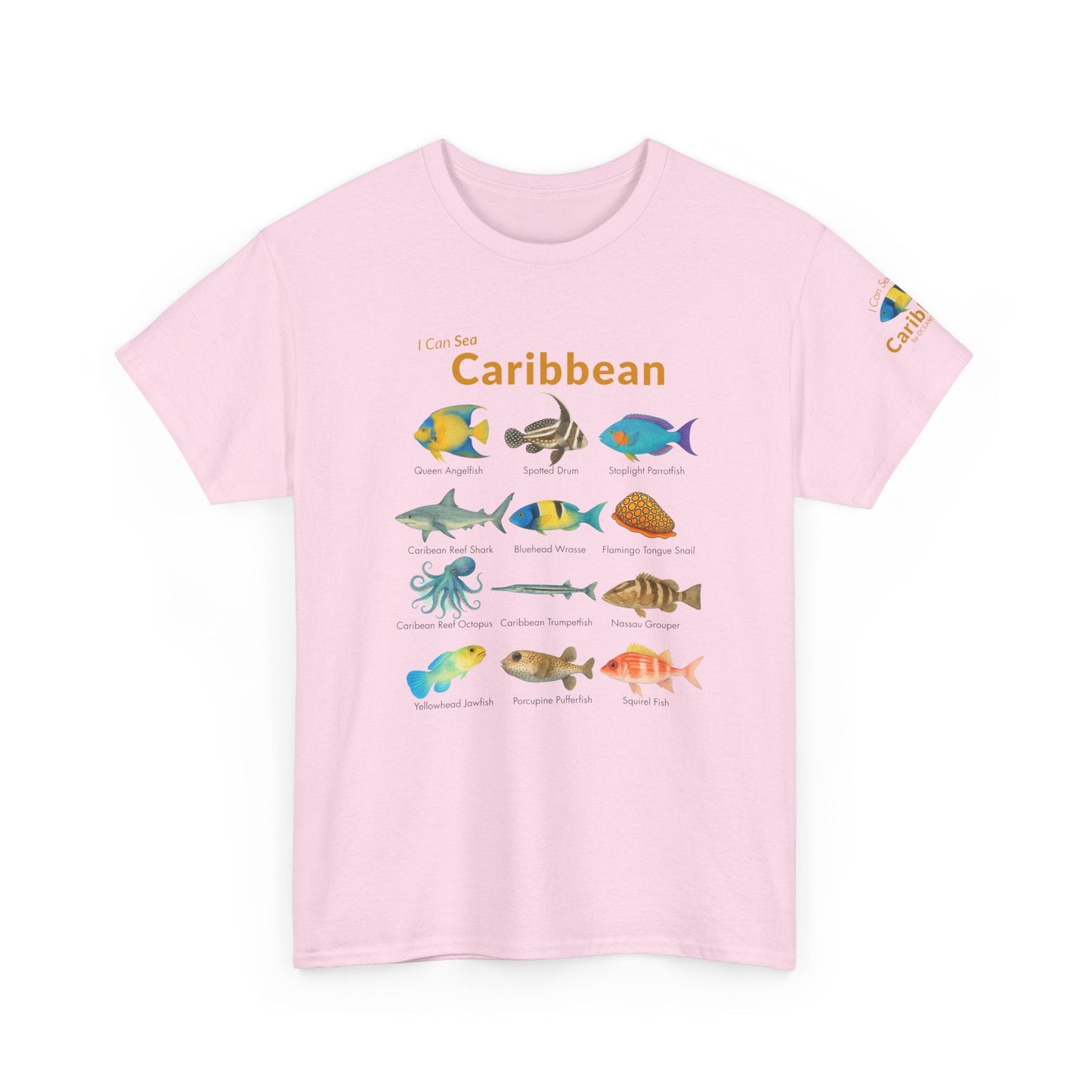T-Shirt Light Pink / S Caribbean Reef Fish Field Guide Tee - Watercolor Snorkel & Dive ID Shirt Caribbean Reef Fish Field Guide Tee - Watercolor Snorkel & Dive ID Shirt