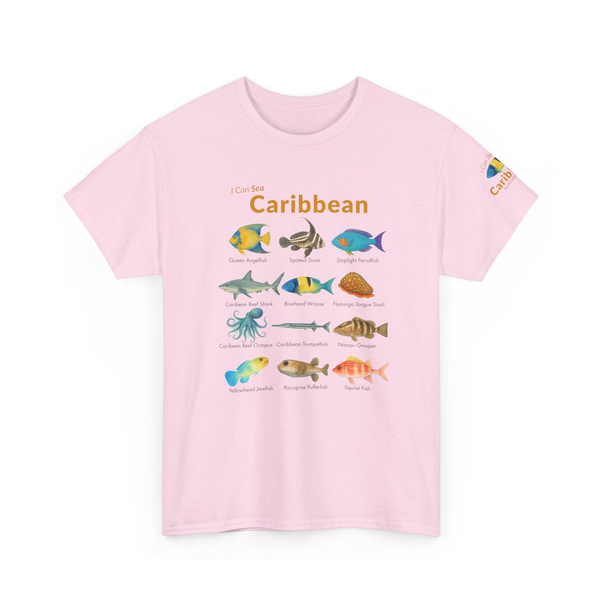 T-Shirt Light Pink / S Caribbean Reef Fish Field Guide Tee - Watercolor Snorkel & Dive ID Shirt Caribbean Reef Fish Field Guide Tee - Watercolor Snorkel & Dive ID Shirt