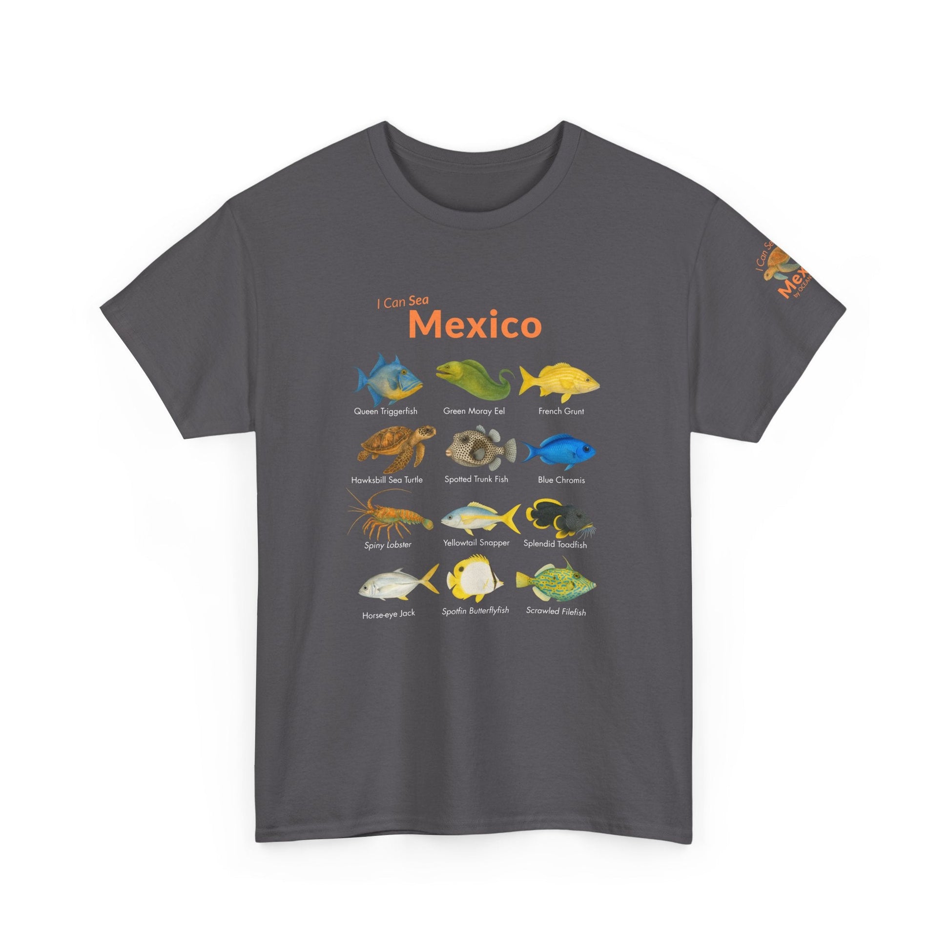 T-Shirt Charcoal / S I Can Sea Mexico Watercolor Field Guide Tee - Mexican Fish ID Shirt I Can Sea Mexico Watercolor Field Guide Tee - Mexican Fish ID Shirt