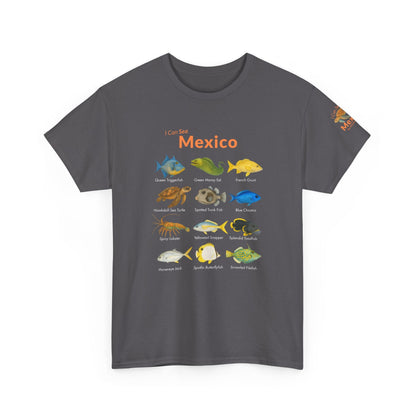 T-Shirt Charcoal / S I Can Sea Mexico Watercolor Field Guide Tee - Mexican Fish ID Shirt I Can Sea Mexico Watercolor Field Guide Tee - Mexican Fish ID Shirt