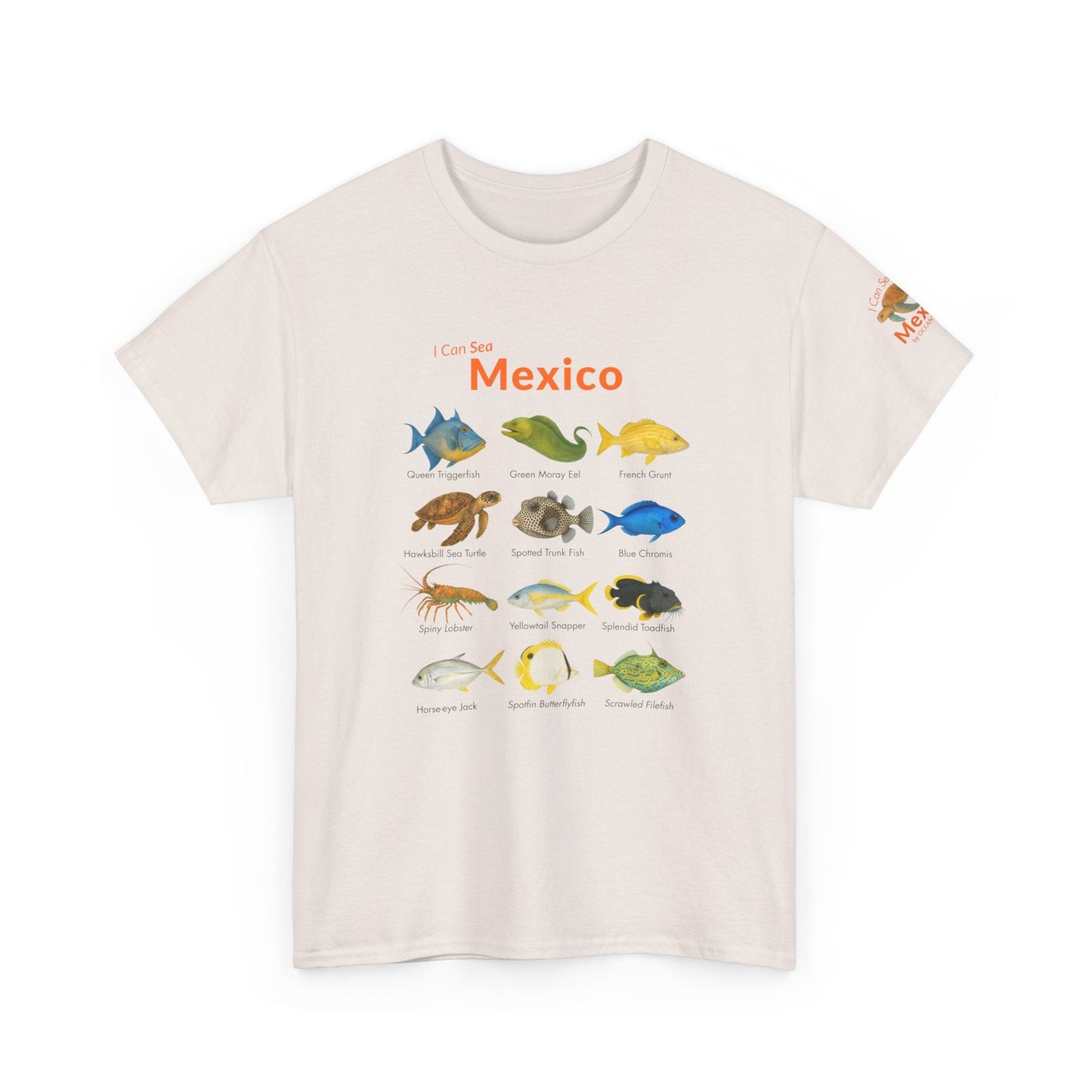 T-Shirt Ice Gray / S I Can Sea Mexico Watercolor Field Guide Tee - Mexican Fish ID Shirt I Can Sea Mexico Watercolor Field Guide Tee - Mexican Fish ID Shirt