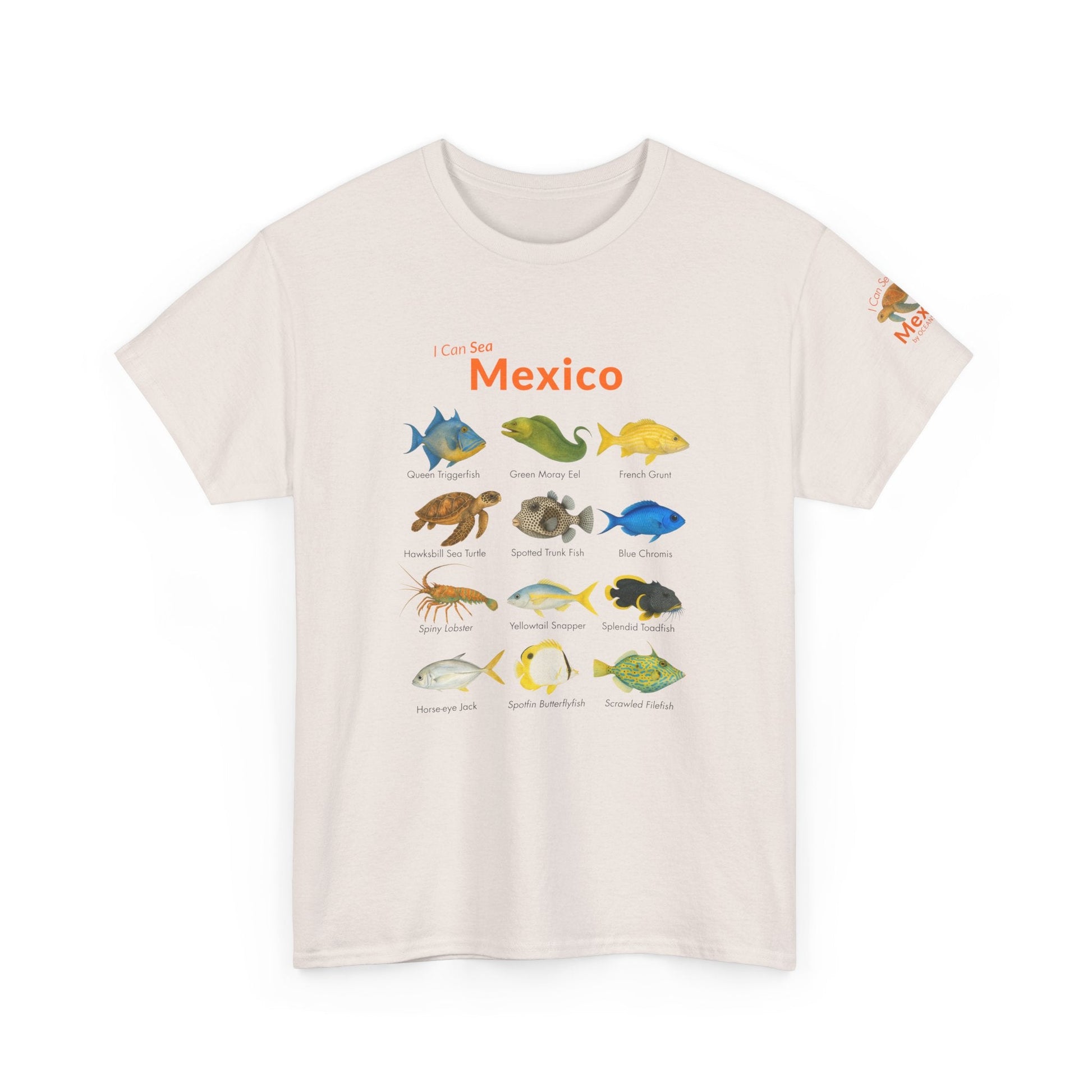 T-Shirt Ice Gray / S I Can Sea Mexico Watercolor Field Guide Tee - Mexican Fish ID Shirt I Can Sea Mexico Watercolor Field Guide Tee - Mexican Fish ID Shirt