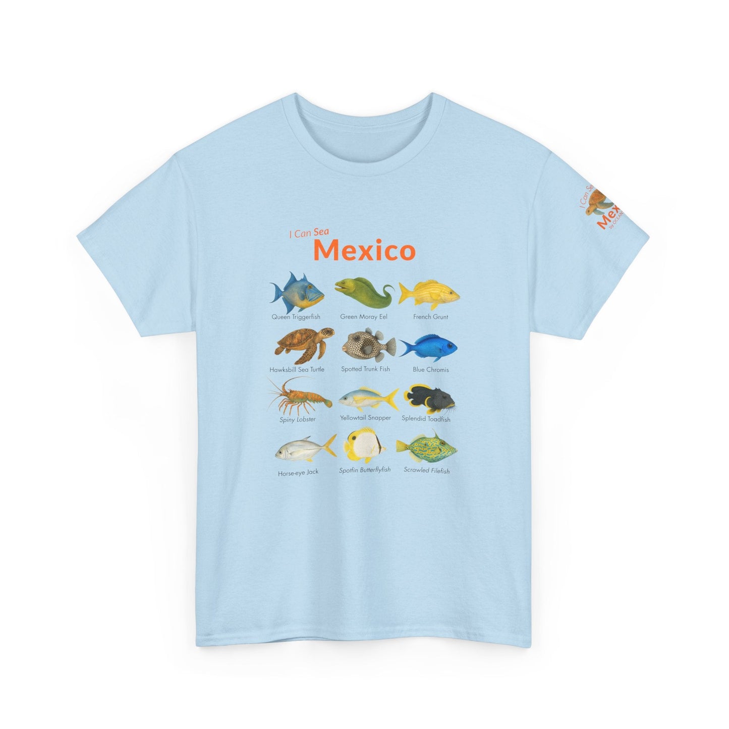 T-Shirt Light Blue / S I Can Sea Mexico Watercolor Field Guide Tee - Mexican Fish ID Shirt I Can Sea Mexico Watercolor Field Guide Tee - Mexican Fish ID Shirt